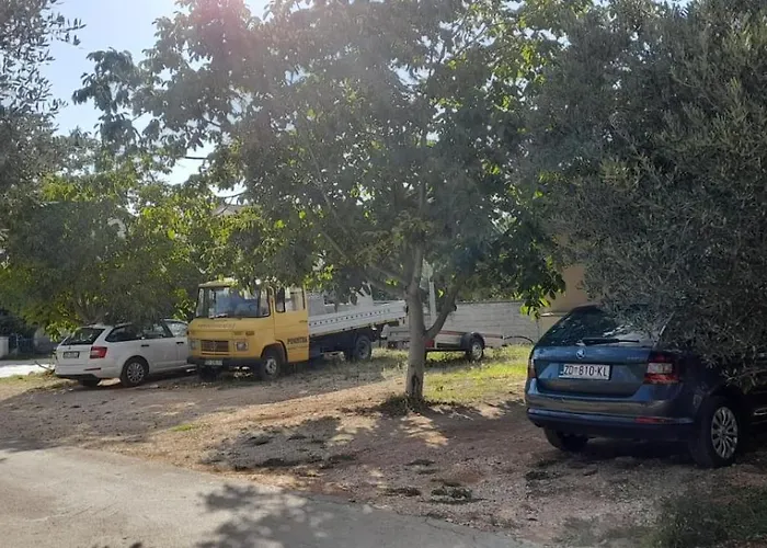 Ozzy * Biograd Na Moru