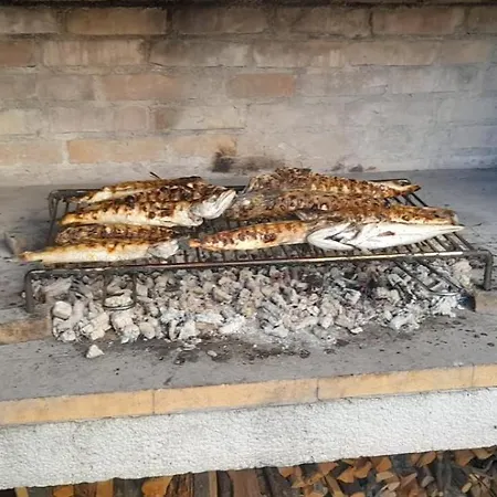 Ozzy Biograd Na Moru