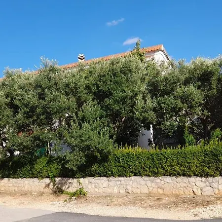 Ozzy Biograd Na Moru