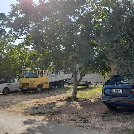 Ozzy * Biograd Na Moru